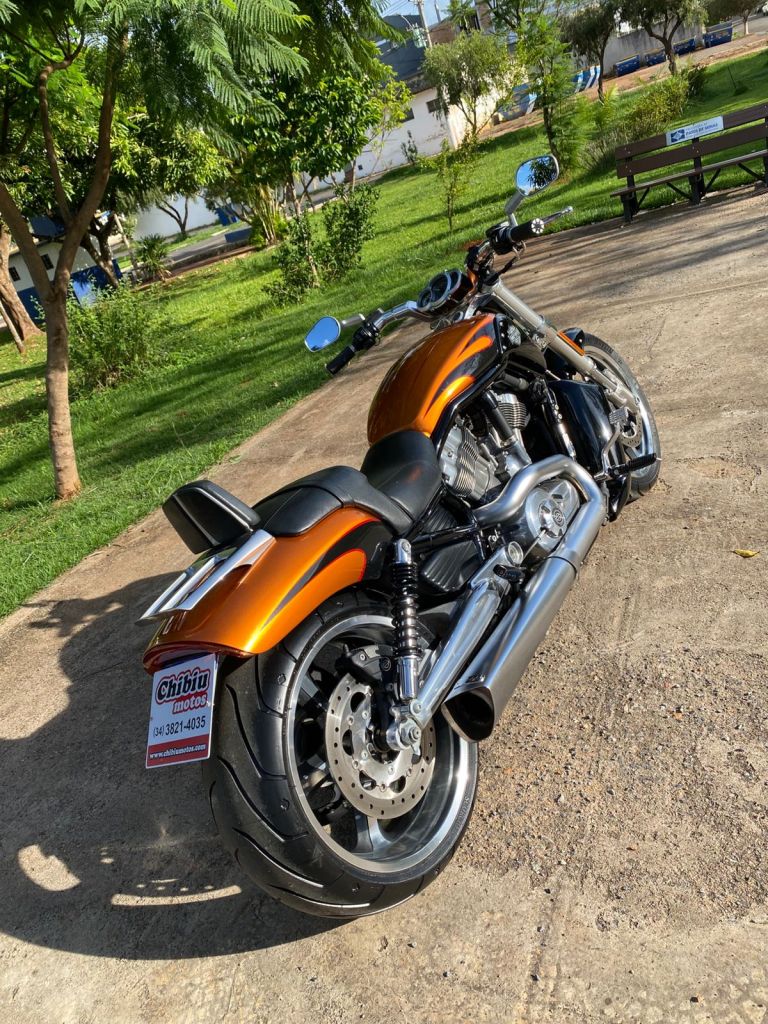 Harley-Davidson VROD 2014/2014 - Chibiu Motos - Motos Nacionais e Importadas, Oficina Especializada, Loja de PeÃ§as, AcessÃ³rios e Boutique - Patos de Minas/MG