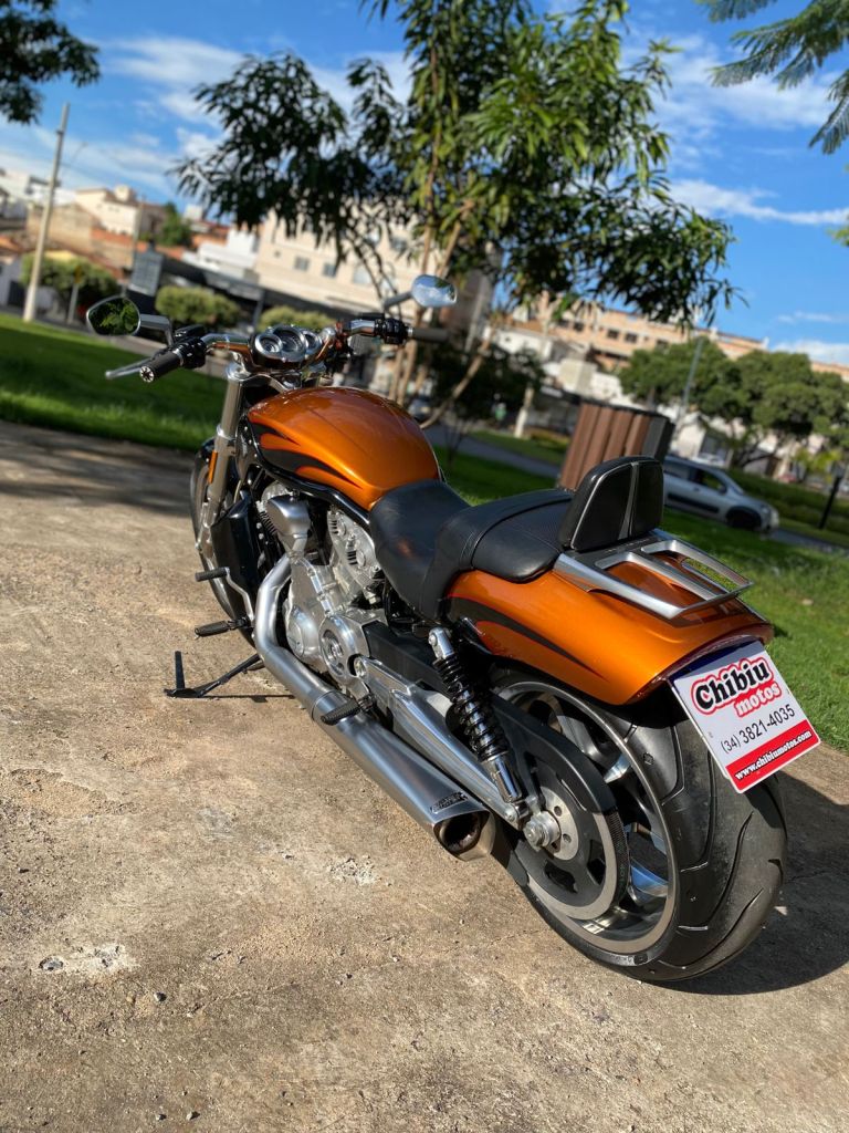 Harley-Davidson VROD 2014/2014 - Chibiu Motos - Motos Nacionais e Importadas, Oficina Especializada, Loja de PeÃ§as, AcessÃ³rios e Boutique - Patos de Minas/MG