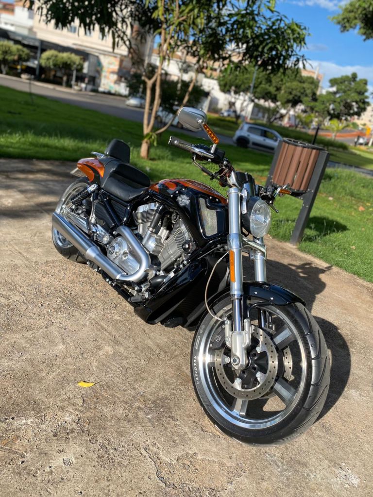 Harley-Davidson VROD 2014/2014 - Chibiu Motos - Motos Nacionais e Importadas, Oficina Especializada, Loja de PeÃ§as, AcessÃ³rios e Boutique - Patos de Minas/MG