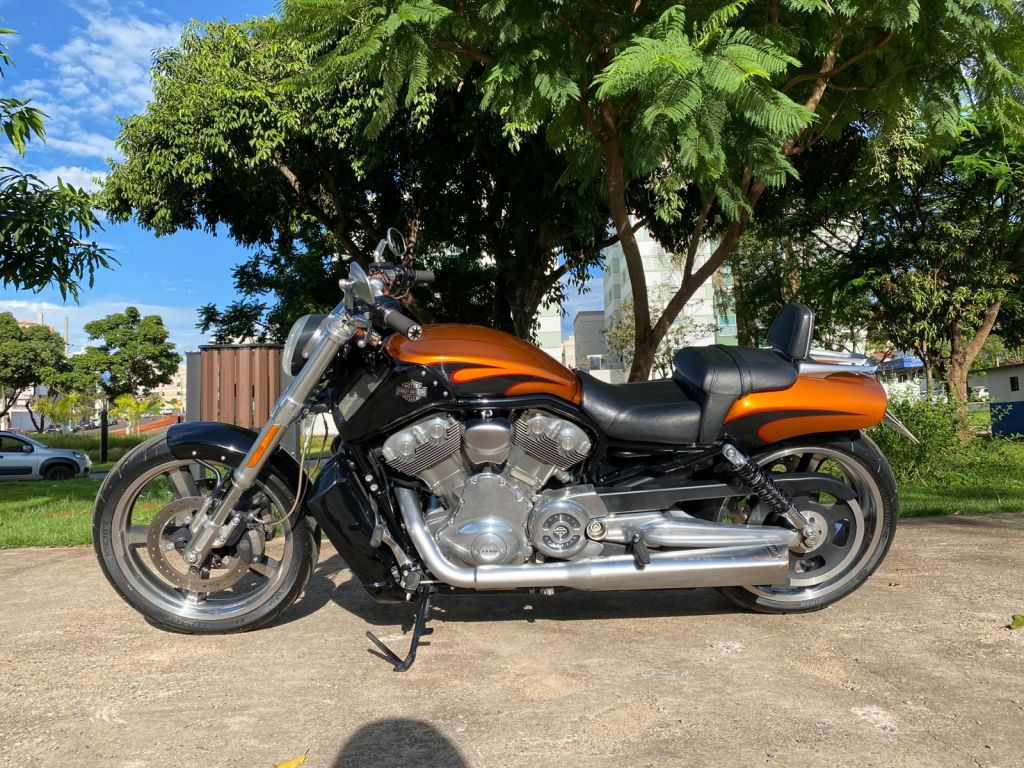 Harley-Davidson VROD 2014/2014 - Chibiu Motos - Motos Nacionais e Importadas, Oficina Especializada, Loja de PeÃ§as, AcessÃ³rios e Boutique - Patos de Minas/MG