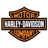Harley-Davidson XL 1200 IRON 2019/2020